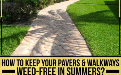 How To Keep Your Pavers & Walkways Weed-Free In Summers?